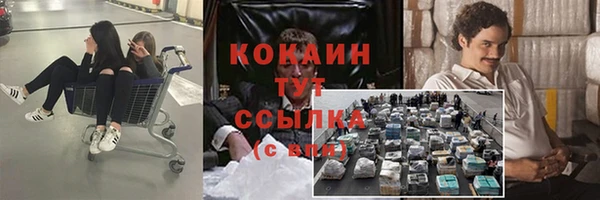скорость Алзамай
