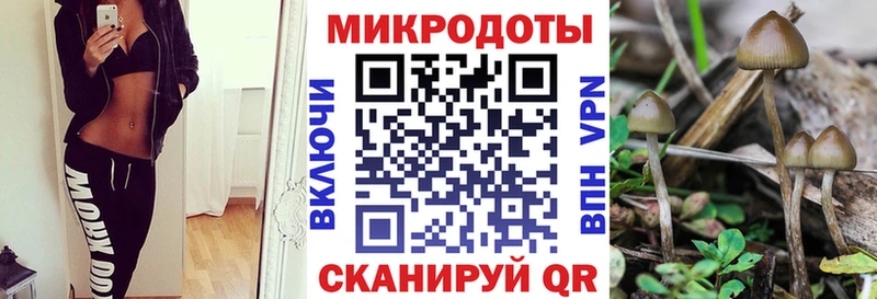 Псилоцибиновые грибы Psilocybine cubensis  Бирюч 
